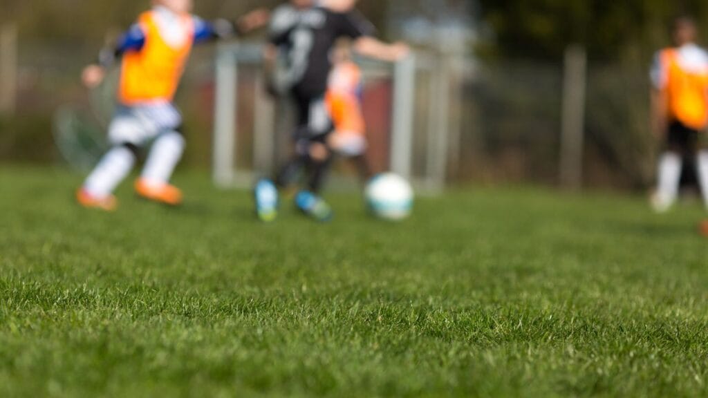 gramado de campo de futebol